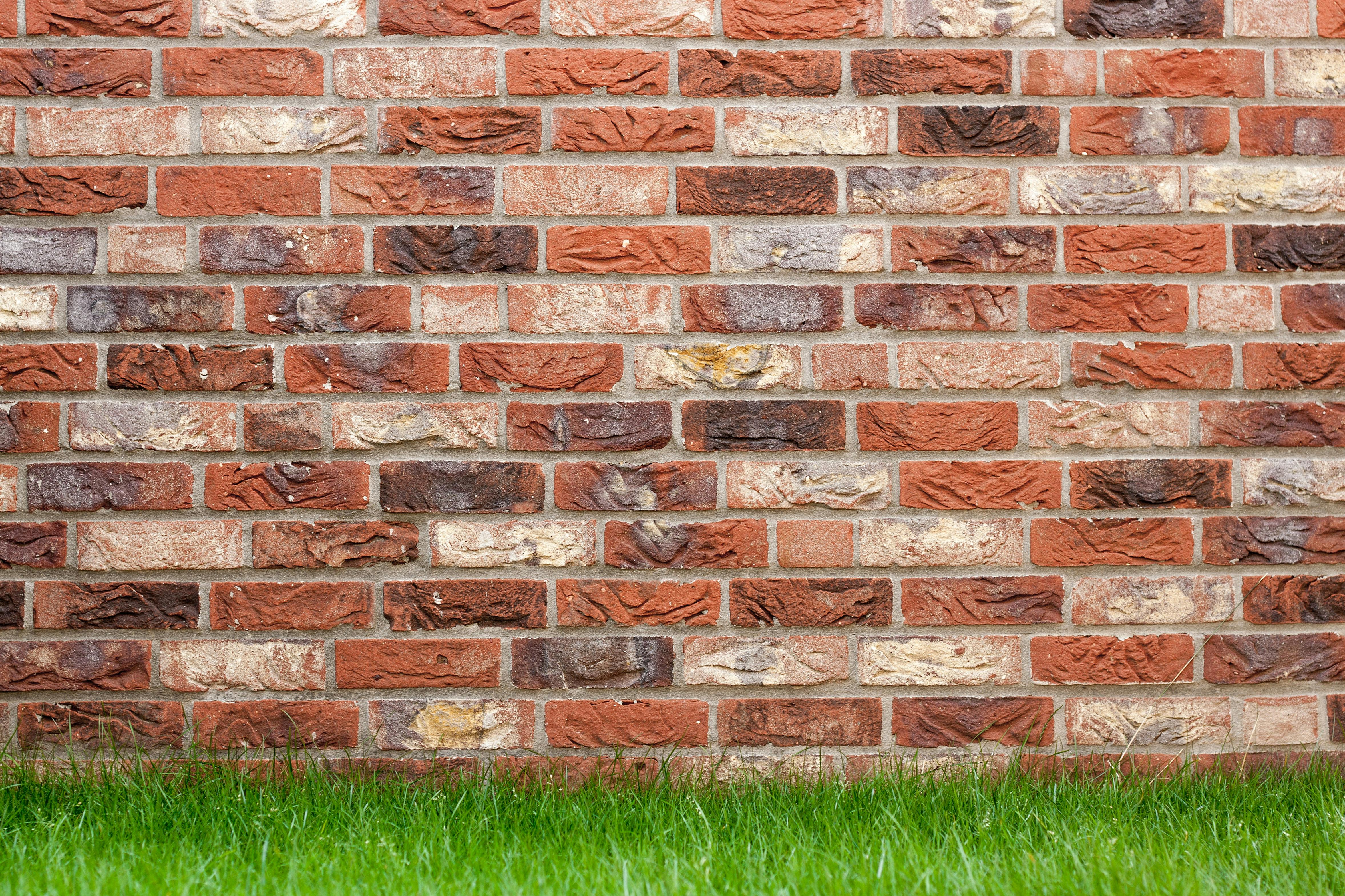 Bricks